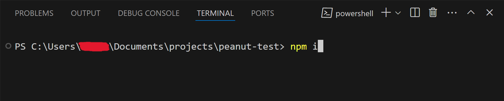 Run npm install